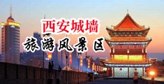 欧美逼网中国陕西-西安城墙旅游风景区