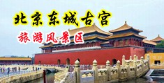 草比鸡巴性爱视频中国北京-东城古宫旅游风景区